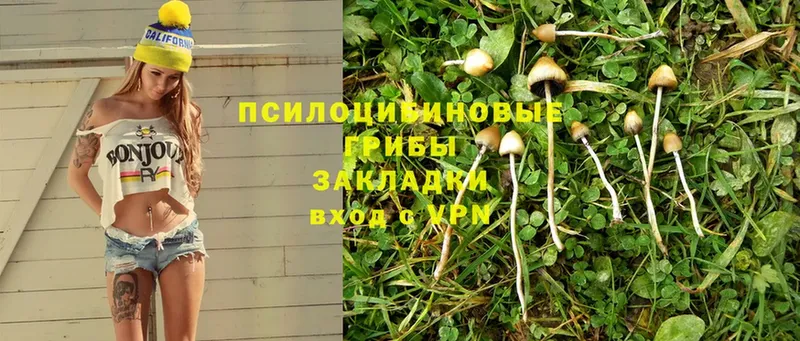 Галлюциногенные грибы Magic Shrooms  Златоуст 